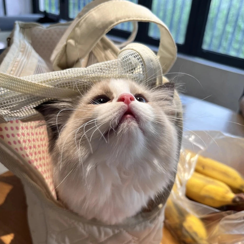 Sac de transport pour chaton précieux