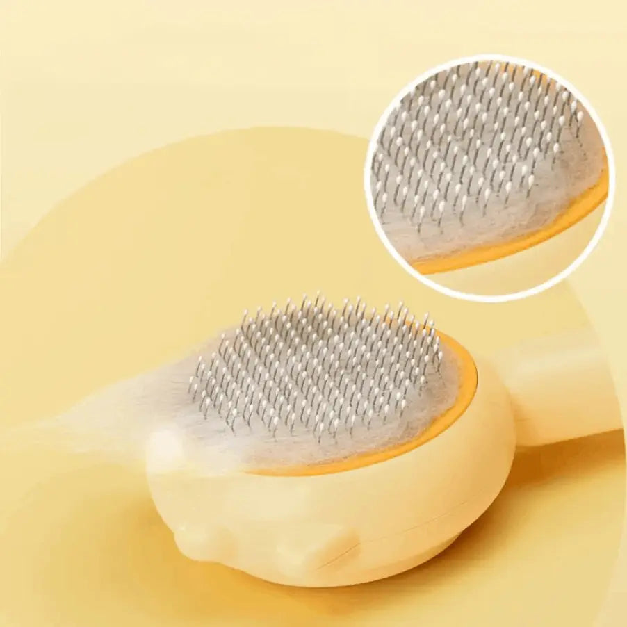 Brosse de massage anti-poils