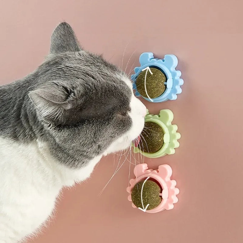 Jouets d'herbes à chat interactifs