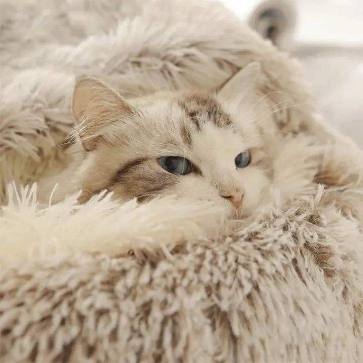 Coussin pour chat fluffy