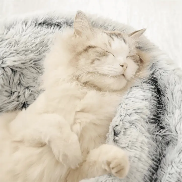 Coussin pour chat fluffy